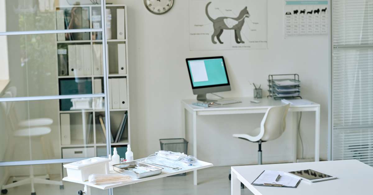 A veterinarian's office with desks set up and operating instruments and chemicals scattered on the surfaces.