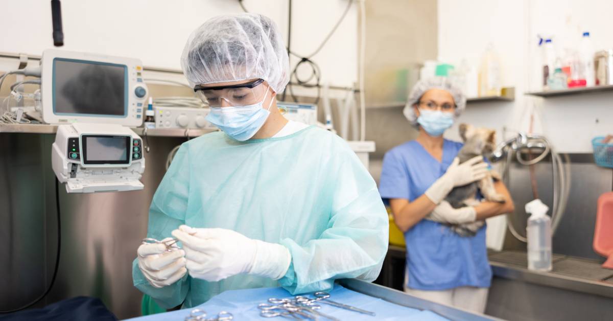 A veterinarian wears full PPE as they inspect surgical instruments on a table. A vet tech holds a dog in the background.