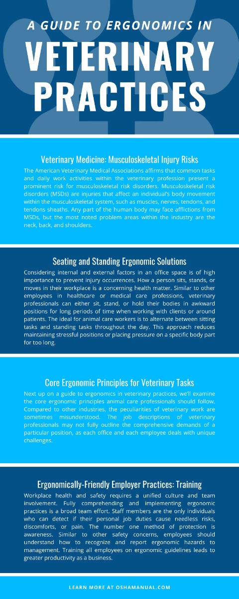 A Guide To Ergonomics in Veterinary Practices