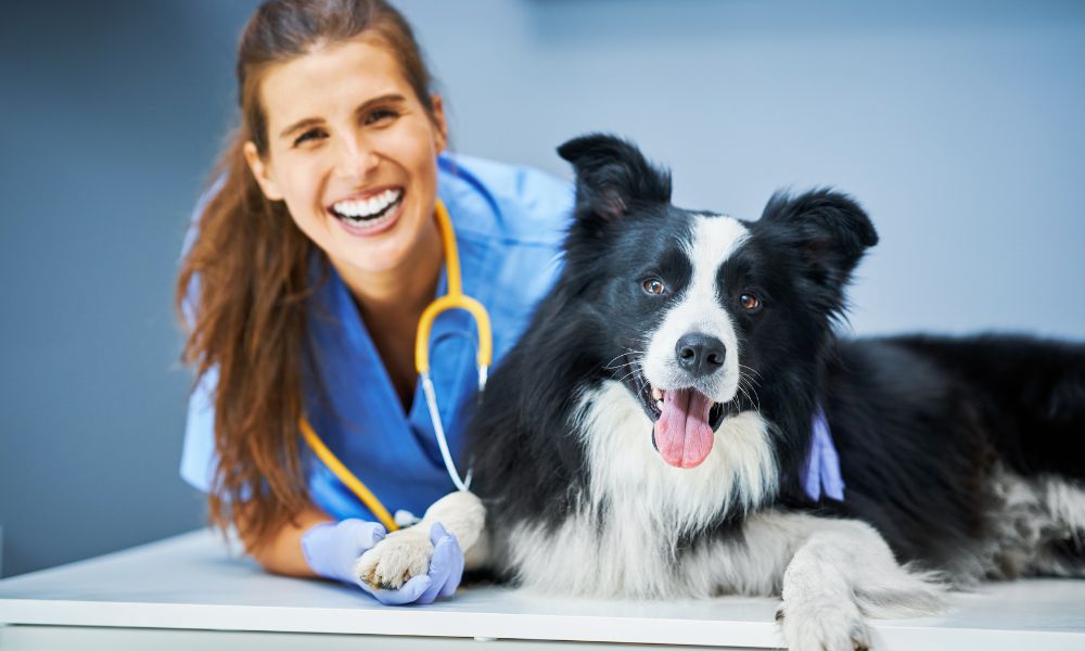 10 Common OSHA Requirements in Veterinary Facilities