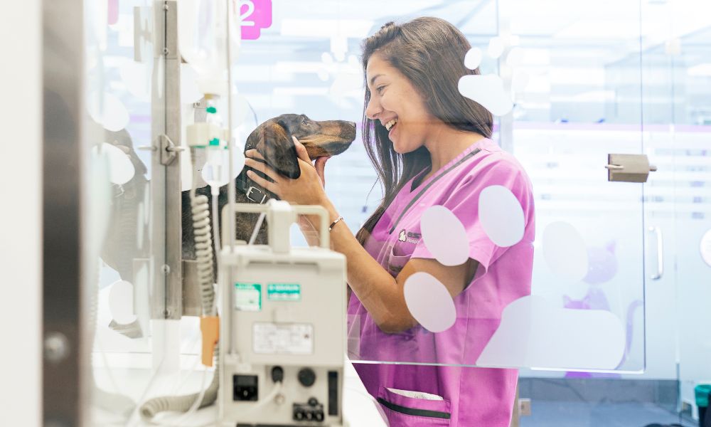 3 Fire Safety Requirements for Veterinary Offices